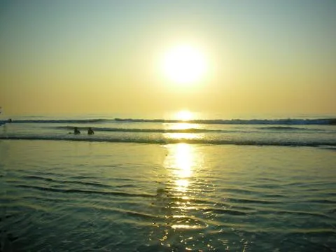 Visiting a remote beach Stock Photos