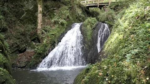 Visiting waterfall die Rausch at wild Endert stream next to Cochem, Mosel Riv Video stock 79844657