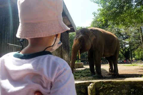 Visiting zoo Stock Photos