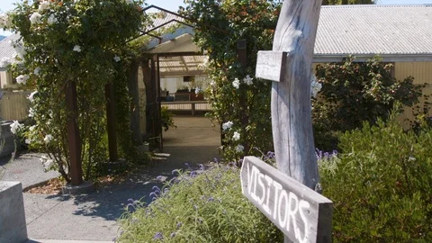 Visitor Garden Stock-Footage 89558682