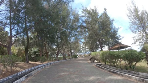 Visitor walk at tips of borneo 1 Stock Footage 109418958