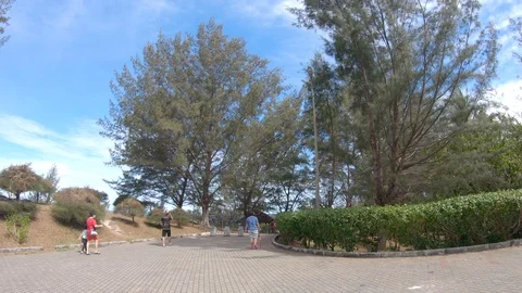 Visitor walk at tips of borneo Stock Footage 109418937