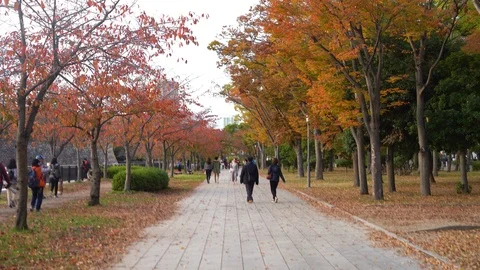 Visitors are seen doing an outdoor activity at Osakojokoen Stock Footage 99861688