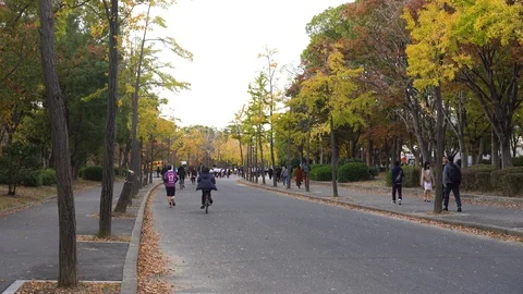 Visitors are seen doing an outdoor activity at Osakojokoen Stock Footage 99861717
