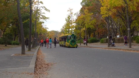 Visitors are seen riding a shuttle train at Osakojokoen Stock Footage 99861623