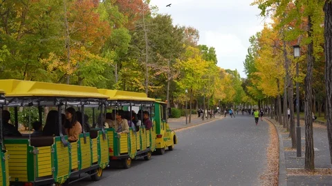 Visitors are seen riding a shuttle train at Osakojokoen Stock Footage 99861644