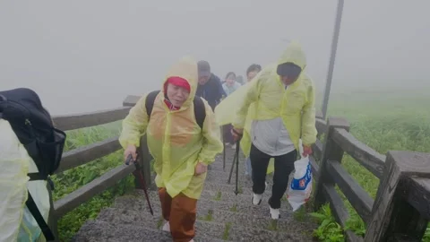 Visitors on boardwalk Video stock 347486602