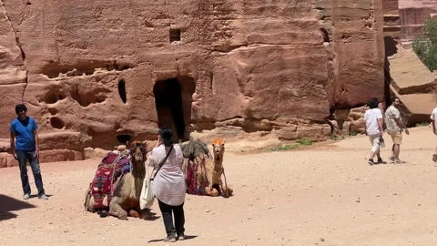 Visitors capturing moments with traditional Middle Eastern camels along the path Stock Footage 310689505