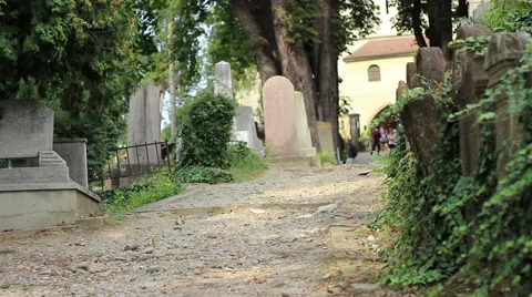 Visitors of Cemetery Stock Footage 46128894