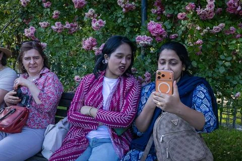 Visitors checking a smartphone in front of a rose bush at the Rome Municipa.. Stock Photos