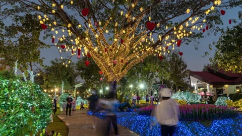 Visitors enjoy their evening time inside the Chiang Mai Charming Flower Festival Stock Footage 169980932