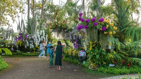 Visitors enjoy their evening time inside the Chiang Mai Charming Flower Festival Stock Footage 169980973