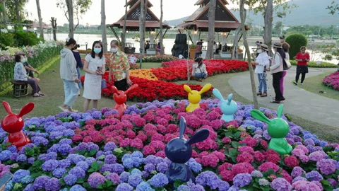 Visitors enjoy their evening time inside the Chiang Mai Charming Flower Festival Stock Footage 169983154