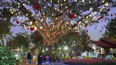 Visitors enjoy their evening time inside the Chiang Mai Charming Flower Festival Stock Footage 169983167