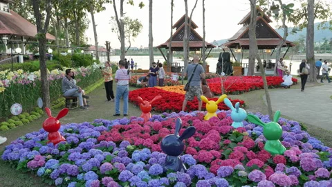 Visitors enjoy their evening time inside the Chiang Mai Charming Flower Festival Stock Footage 169983174