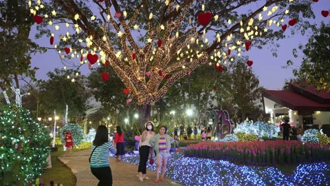 Visitors enjoy their evening time inside the Chiang Mai Charming Flower Festival Stock Footage 169983202