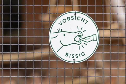 Visitors explore Cologne Zoo, encountering diverse animals in their habitats Foto stock