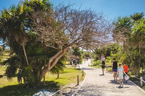 Visitors explore a scenic pathway surrounded by tropical foliage on a sunny.. Stock Photos