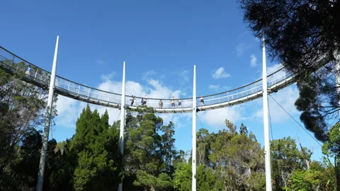 Visitors exploring Curtis Crest Treetop Walk on Penang Hill Malaysia 스톡 동영상 331726038