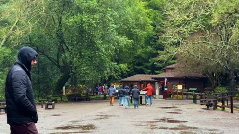 Visitors Exploring a Forest Park on a Rainy Day Stock Footage 302924275