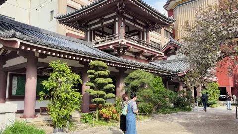 Visitors exploring the historical Tocho-ji Temple. Stock Footage 334579969