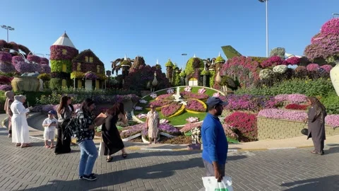 Visitors at the Flower Clock in Dubai Miracle Garden. Dubai UAE 5 March 2026. Stock Footage 345456399