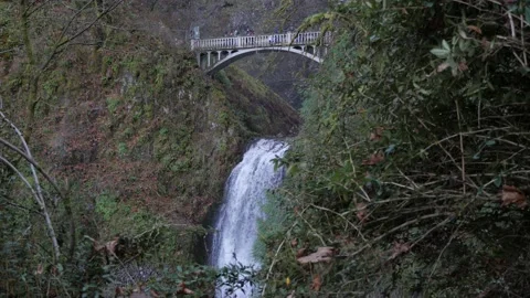 Visitors on a foot bridge over Multnomah Falls Video stock 140895705