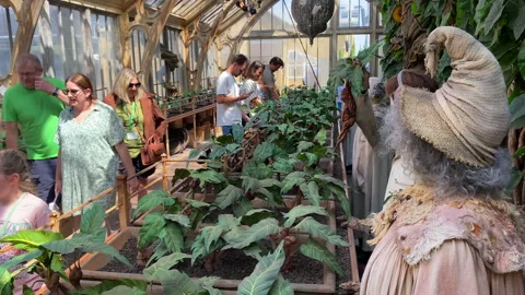 Visitors inside set of Professor Sprout's Greenhouse in the Harry Potter Studio  Stock Footage 326653814