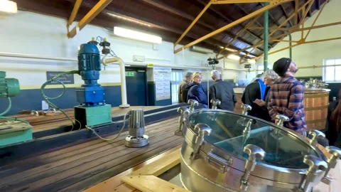 Visitors Observing Whisky Fermentation Process in Scottish Distillery Stock Footage 320594273