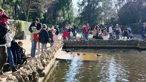 Visitors in Parque de María Luisa Stock Footage 296607612