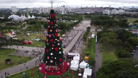 Visitors at Parque Villa Lobos waiting for Christmas lighting in SP, Brazil Vídeo Stock 222949671