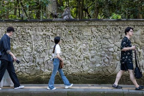 Visitors Pass Macaque at Ubud Monkey Forest Foto stock