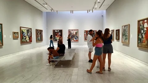 Visitors at Picasso Museum Stock Footage 298977073