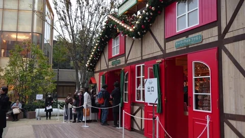 Visitors queue at a festive red Christmas market stall outdoors. Video stock 346011236