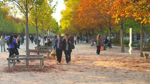 Visitors strolling down a dirt promenade of trees in the Tuileries garden 動画素材 337881037
