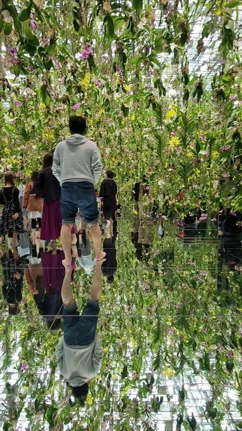 Visitors at TeamLab Planets Tokyo immersive art moving garden TIME-LAPSE Stock Footage 235148722