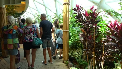Visitors in the Tropical Garden Stock Footage 200929607