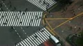 Visitors Visiting Zebra Crossing Aerial Shot Street People Walking Crowd Tokyo HD Footage
