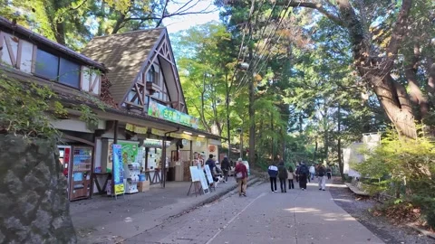 Visitors walk along a path beside a building in a sunny forest park. Vídeos de archivo 346012174