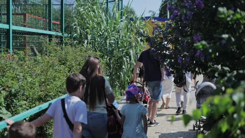 Visitors Walking Along a Leafy Path at Limpopo Zoo, Lviv Region, Ukraine Stock Footage 346965527