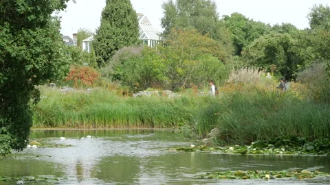 Visitors walking around the pond within the Cambridge Botanic Gardens Stock Footage 155656774