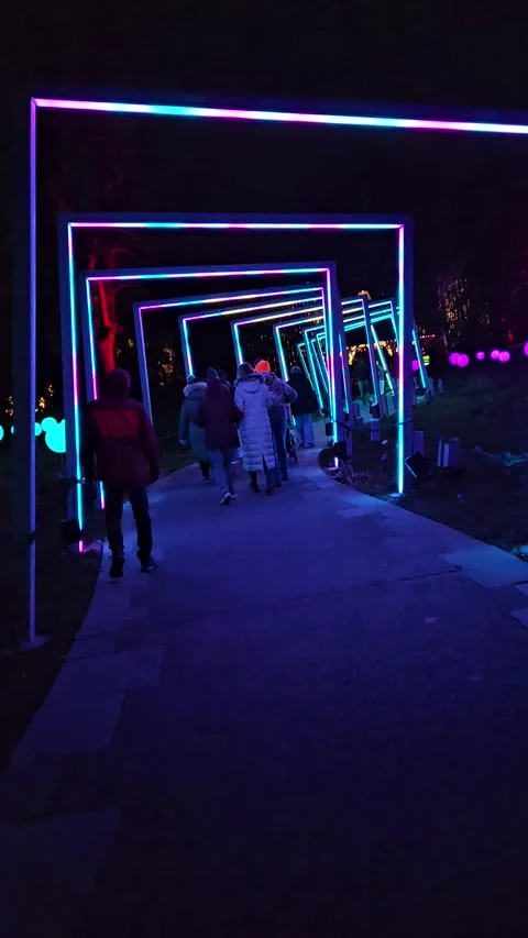 Visitors Walking Through Illuminated Tunnel Light Installation Stock Footage 317128258