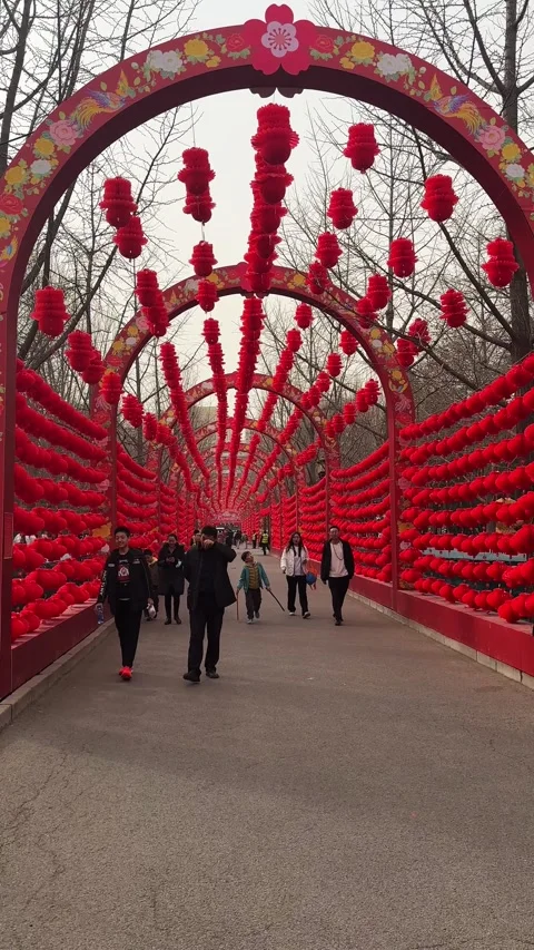 Visitors walking through lantern decorated pathway during Lunar New Year Stock Footage 329847488