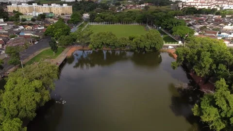 Vista aérea de lago com patos e campo de futebol, ao fundo a cidade Stock Footage 239269726