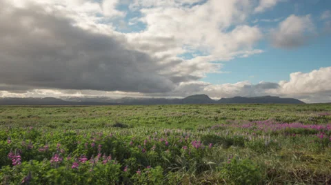 Vista Timelapse 스톡 동영상 39482584