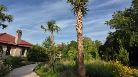 Vistor Center for the City of Saint Augustine Stock Footage 310560653
