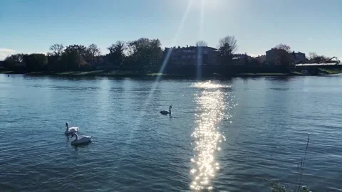 Vistula River in Kraków 動画素材 274828826