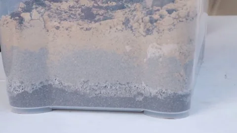 A visual aid for the training of future geologists: geological section Stock Footage 83563502