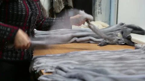 Visual assessment of the quality of gray fur in the production at the atelie Stock Footage 148224915