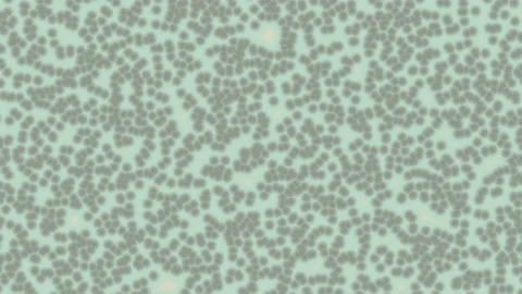 Visual color background. Generation of visual effects. Background for video Video stock 236545922